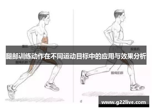 腿部训练动作在不同运动目标中的应用与效果分析